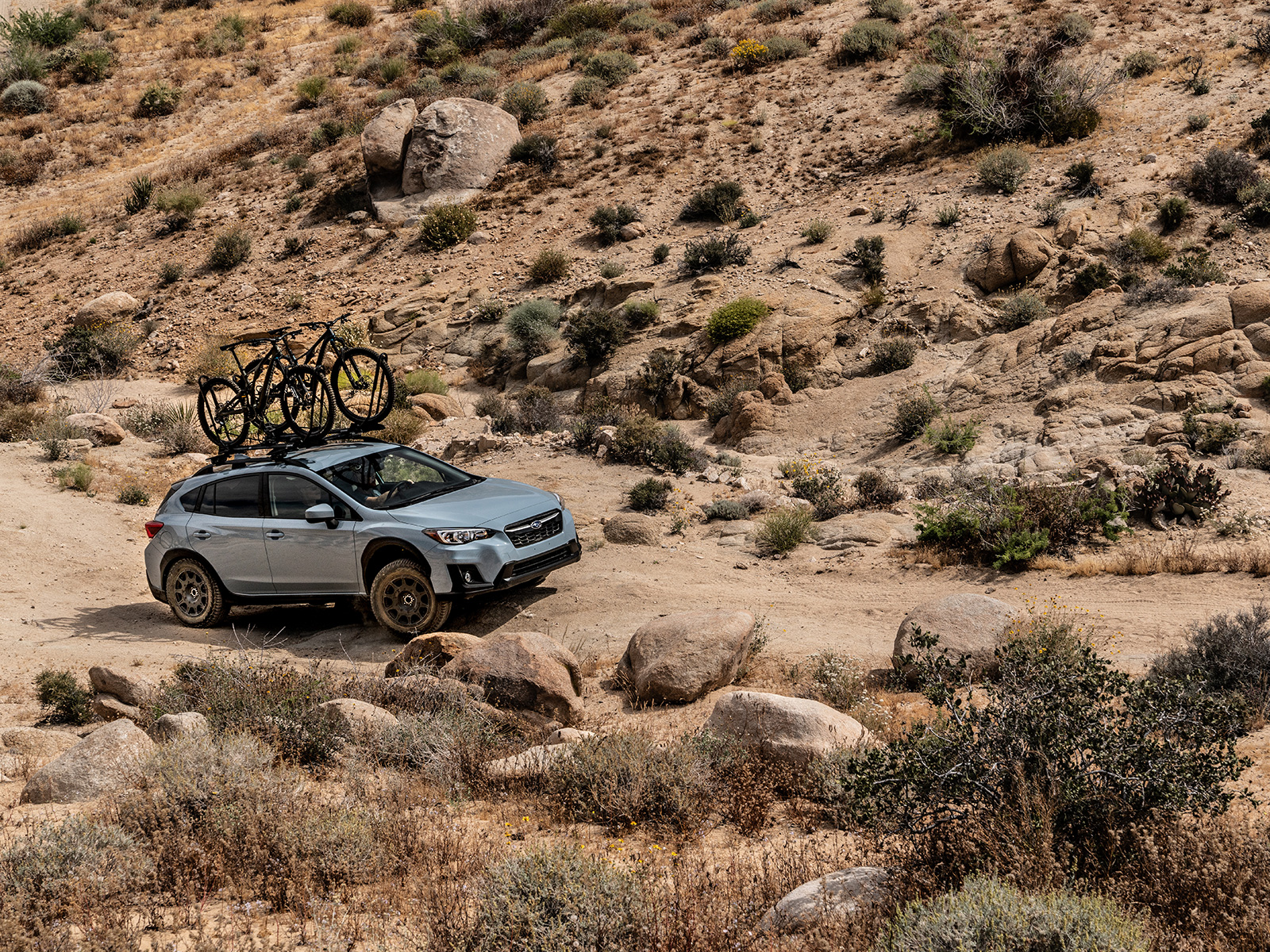 Falken Wildpeak tyres all terrain trails on a Subaru outback carrying mountain bikes on a dirt road